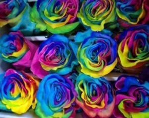Tinted rose