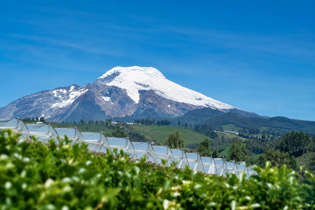 Flower farm greenhouses below a snow-capped Andean volcano